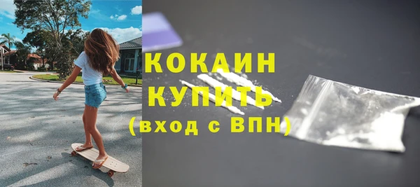 стафф Осташков