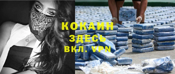 стафф Осташков