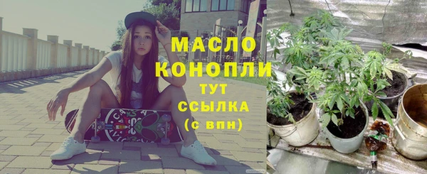 стафф Осташков