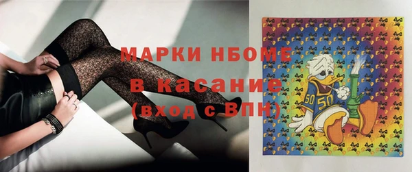 стафф Осташков