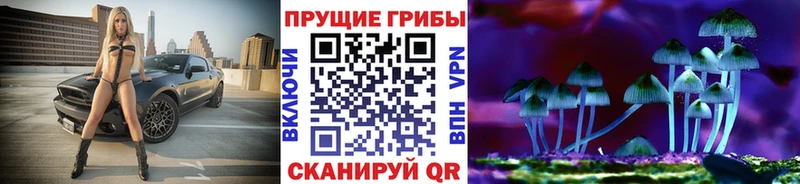 Галлюциногенные грибы ЛСД  мега зеркало  Короча 